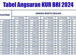 Pinjaman Bri Kur 2024 Terbaru